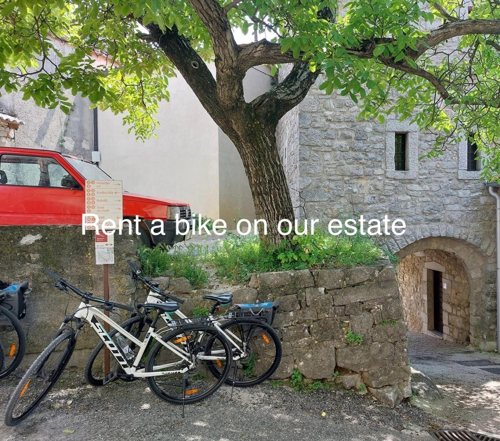 Zenja - Nature Property - Garden - Parking Yard Divača Eksteriør billede
